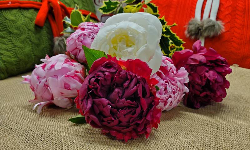 A pile of peonies on burlap.