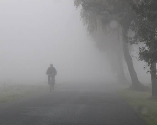 Person riding a bike through fog. Photo by Hemlut Gevert from FreeImages