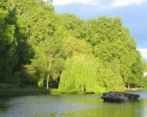sunlight shinning down on a park. Photo by Michael & Christa Richert from FreeImages