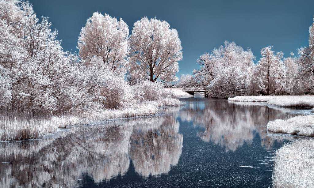 Snowy trees reflecting on water. Photo by Michiel Alleman from Pexels.